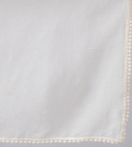 Kota Doria Dupatta with Embroidery